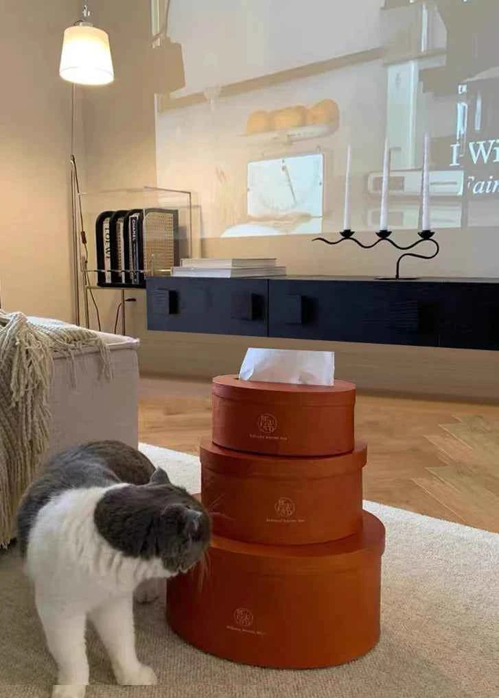 Nordic Center Tv Stands Minimalist Aesthetic Designer Speaker Dollhouse Tv Stands Luxury Dressers Monitor Muebles Furniture