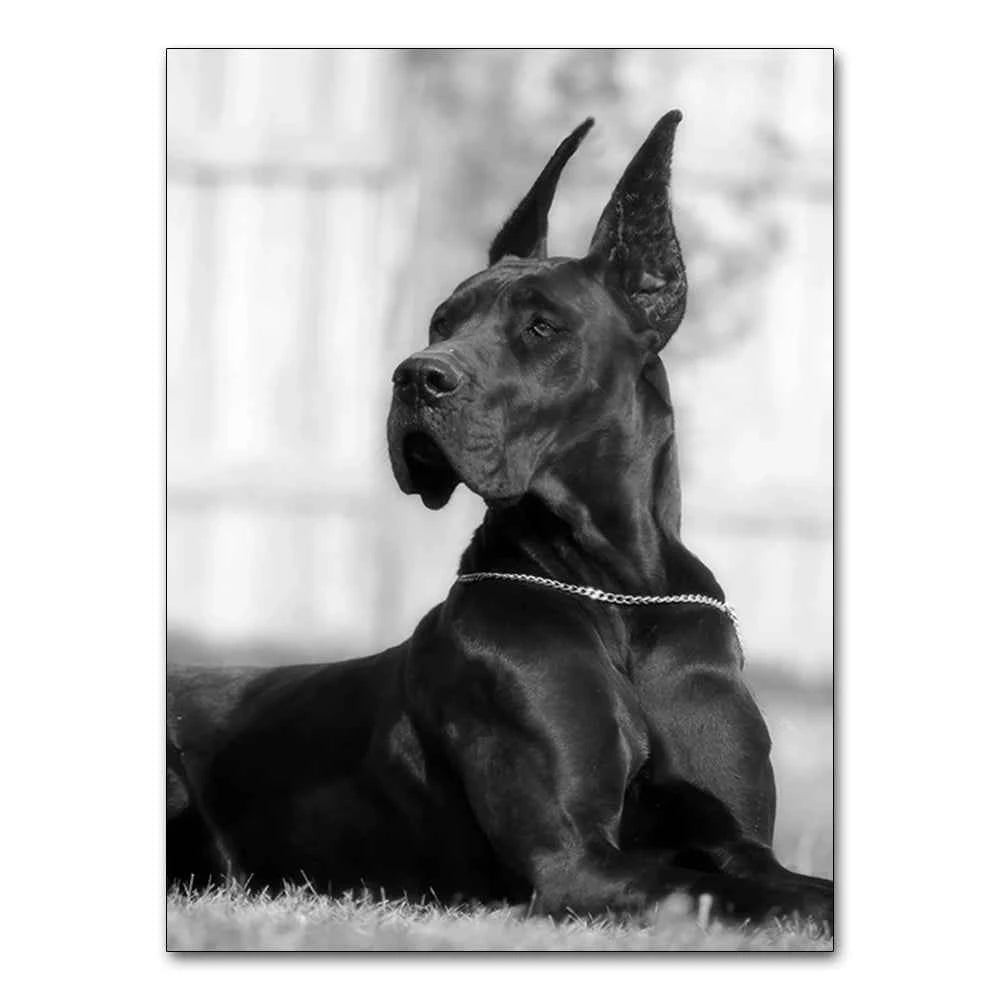 Black White Doberman Pinscher Gun Wall Decoration Poster Modern Highend Home Decor Canvas Painting Art Prints Living Room Murals