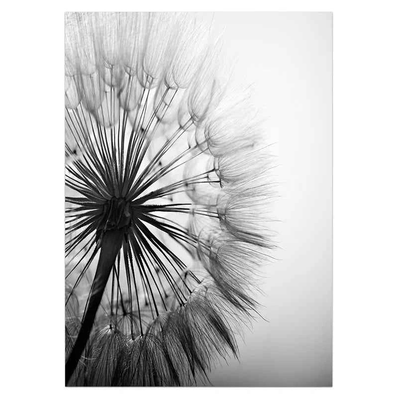 Black White Dandelion Flower Wall Art Prints And Poster Nordic Living Room Wall Art Decorative Canvas Paintings For Home Decor